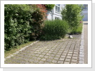 Stellplatz mit Blick zur Eingangstür (Juni) Stellplatz mit Blick zur Eingangstür (Juni)
